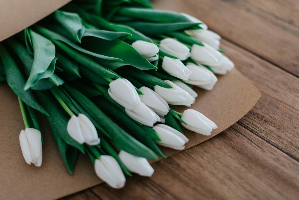 White Tulip Flowers in a wrapped bouquet