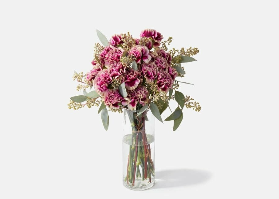 Flower Delivery in Washington DC our top picks Petal Republic