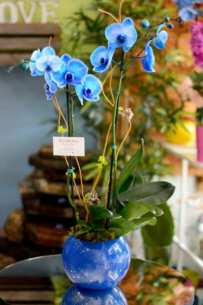 The Orchid House Miami Delivery