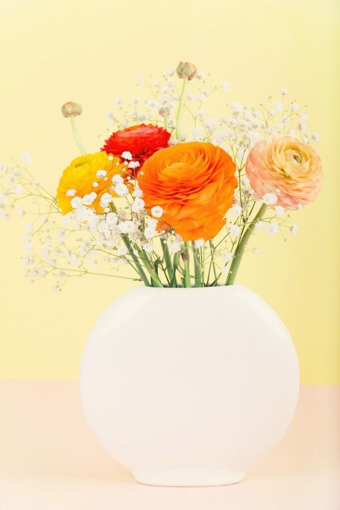 Ranunculus flowers care and arrangements tips