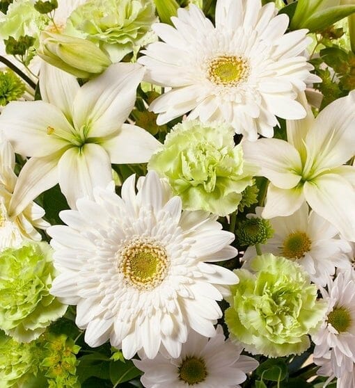 1-800 Flowers Bloom of the Month Club Flower Subscription