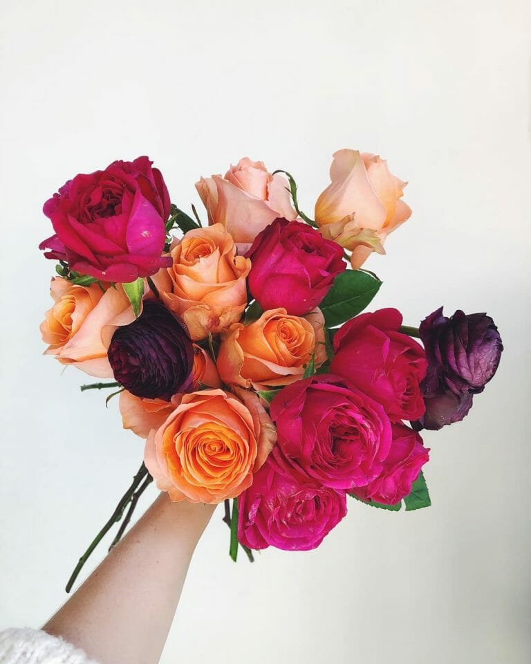 Discover the Best Florists for Flower Delivery in Denver Petal Republic