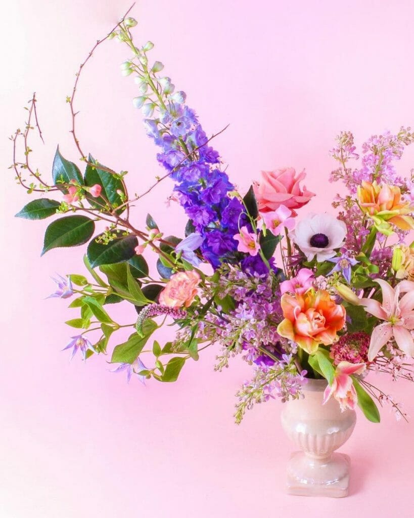 Pampa Paris Flower Delivery