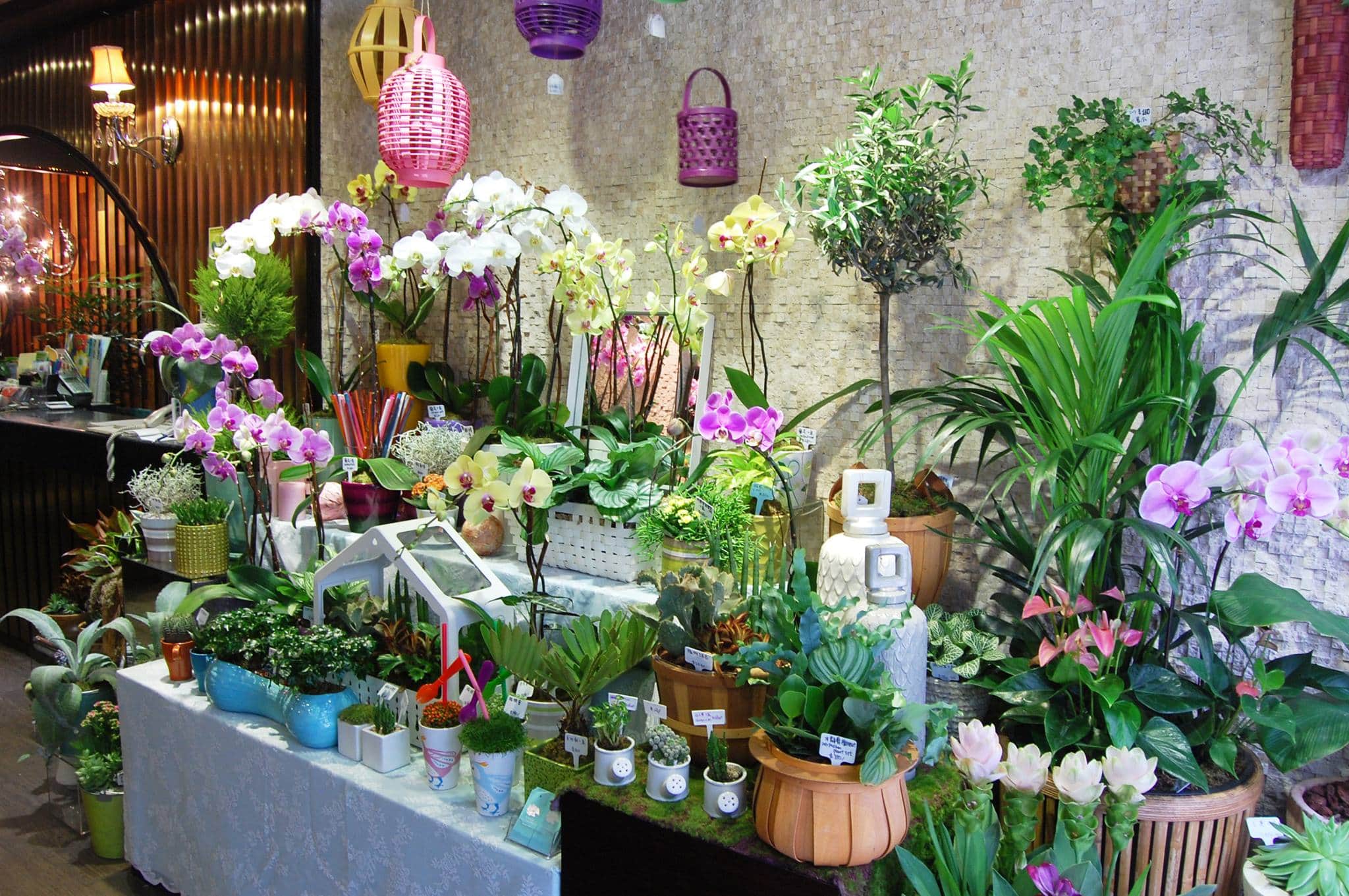 Anglo Chinese Florist Flower Delivery Hong Kong