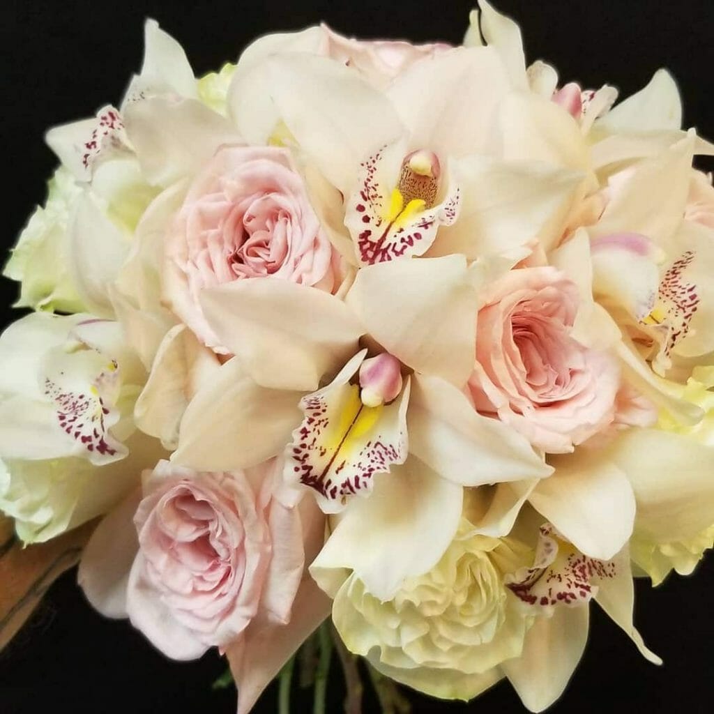 Monas Flowers Tampa Best Flower Site