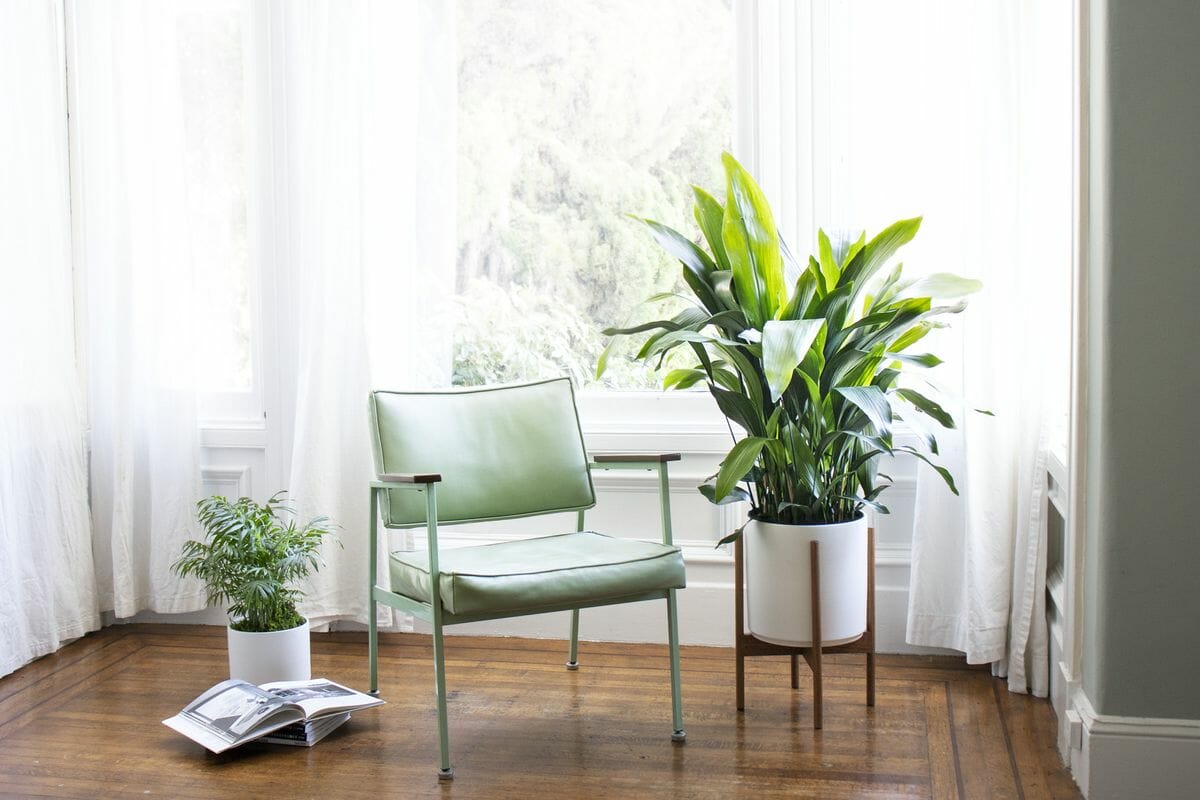 15 Best Plant Delivery Services in NYC (Tested & Reviewed)