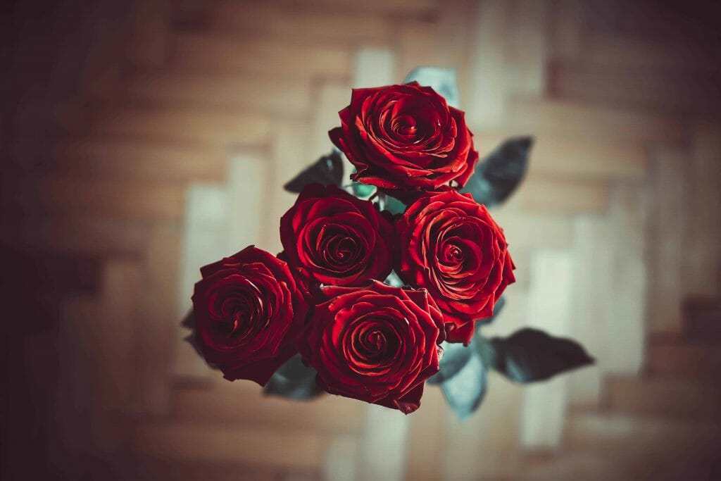 Five long stemmed rose flowers