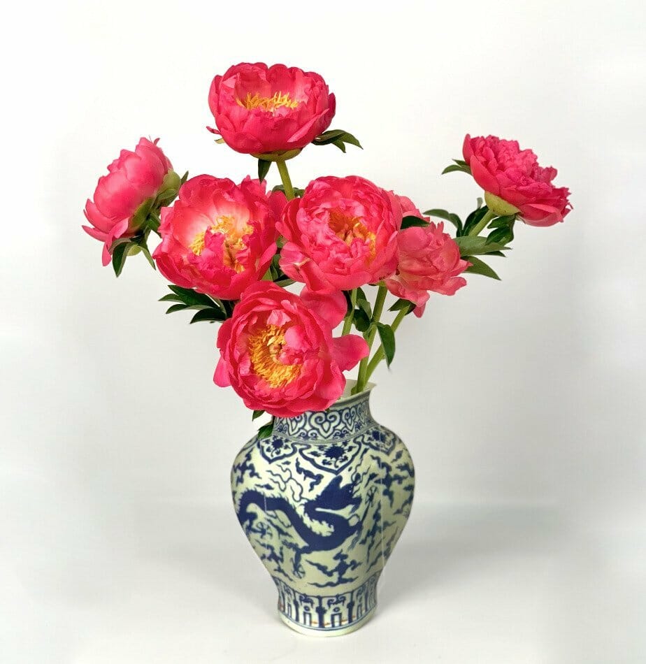 Buunch-Peony-Delivery-in-New-York-City
