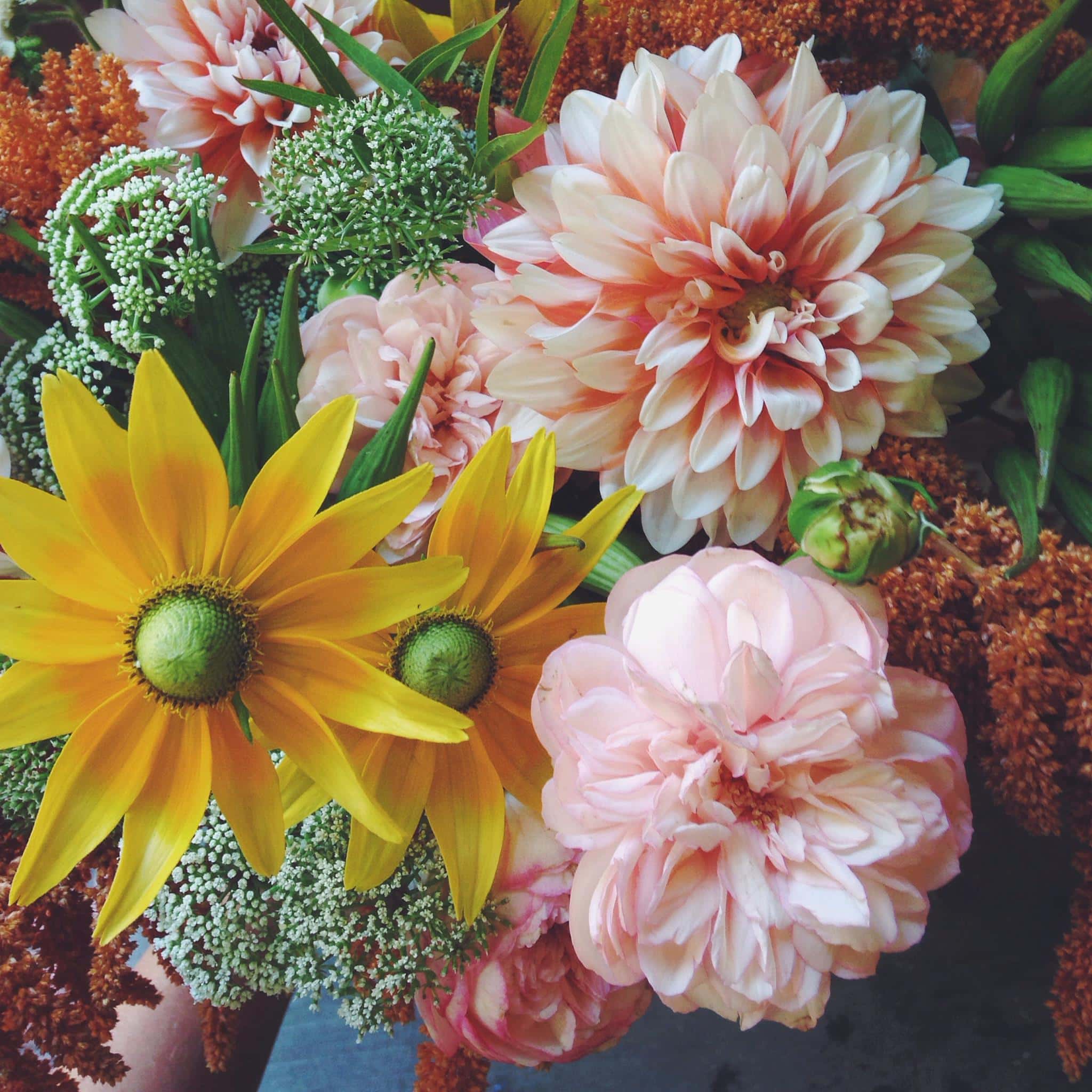 21 Best Florists for Flower Delivery in Portland, Oregon Petal Republic