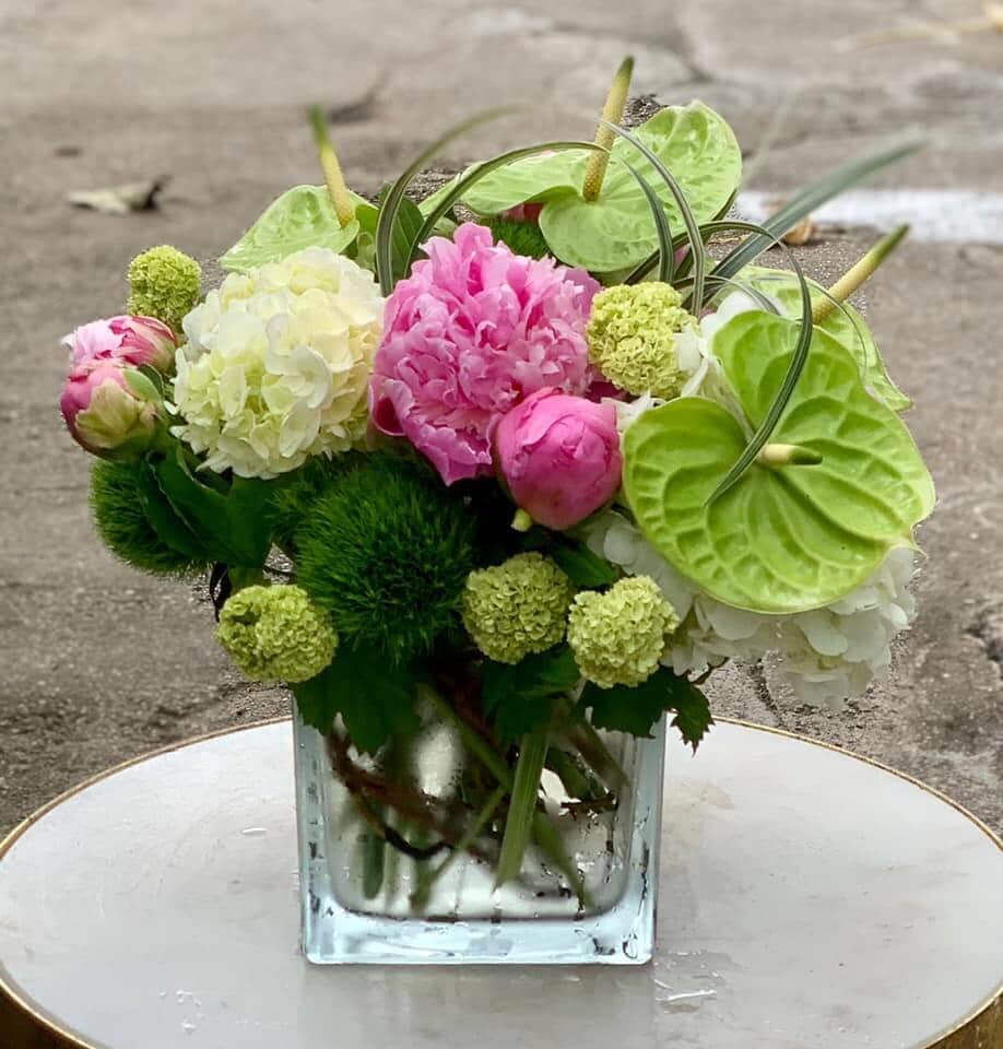 Plants n Petals Floral Studio in Houston