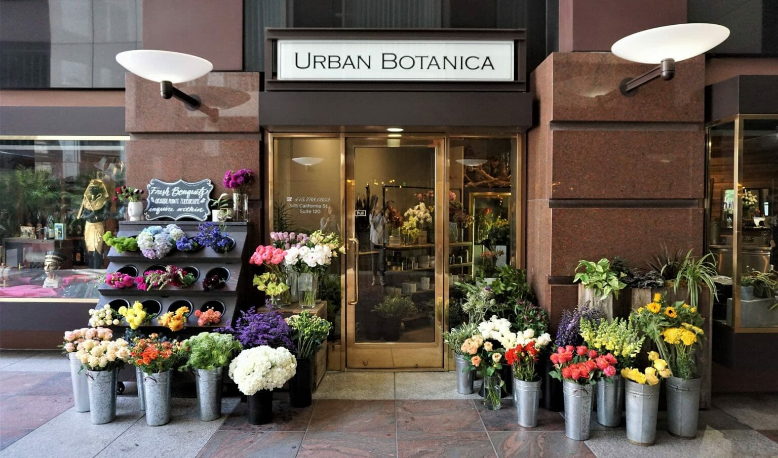 17 Best San Francisco Plant Delivery Services (2023) Petal Republic