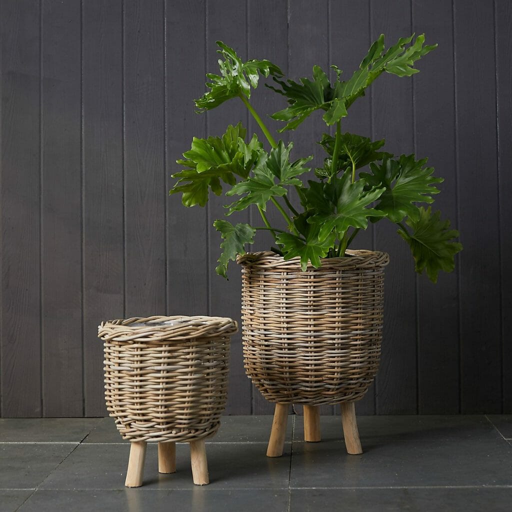 50 Stylish Indoor Planters & Pots for Your Home & Office Petal Republic