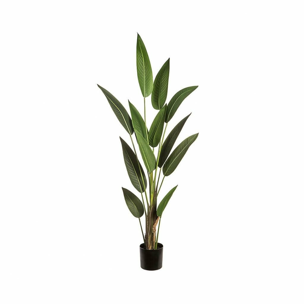 Faux Bird of Paradise Plants for Sale at Terrain