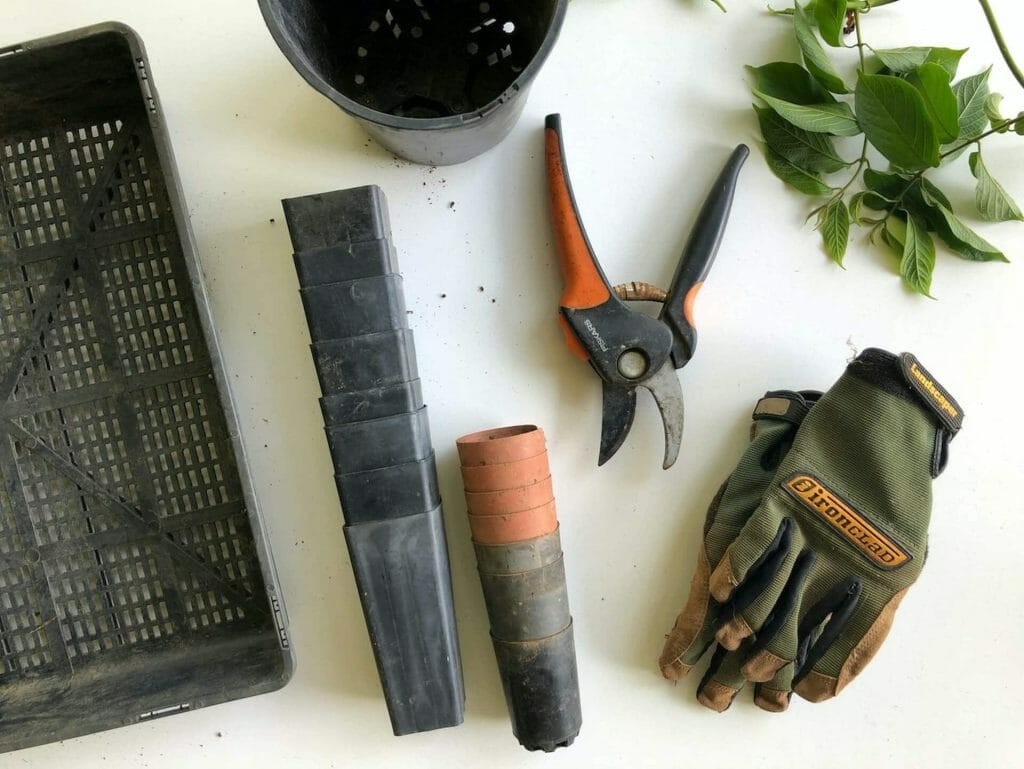 A selection of garden tools laid for general plant care at home