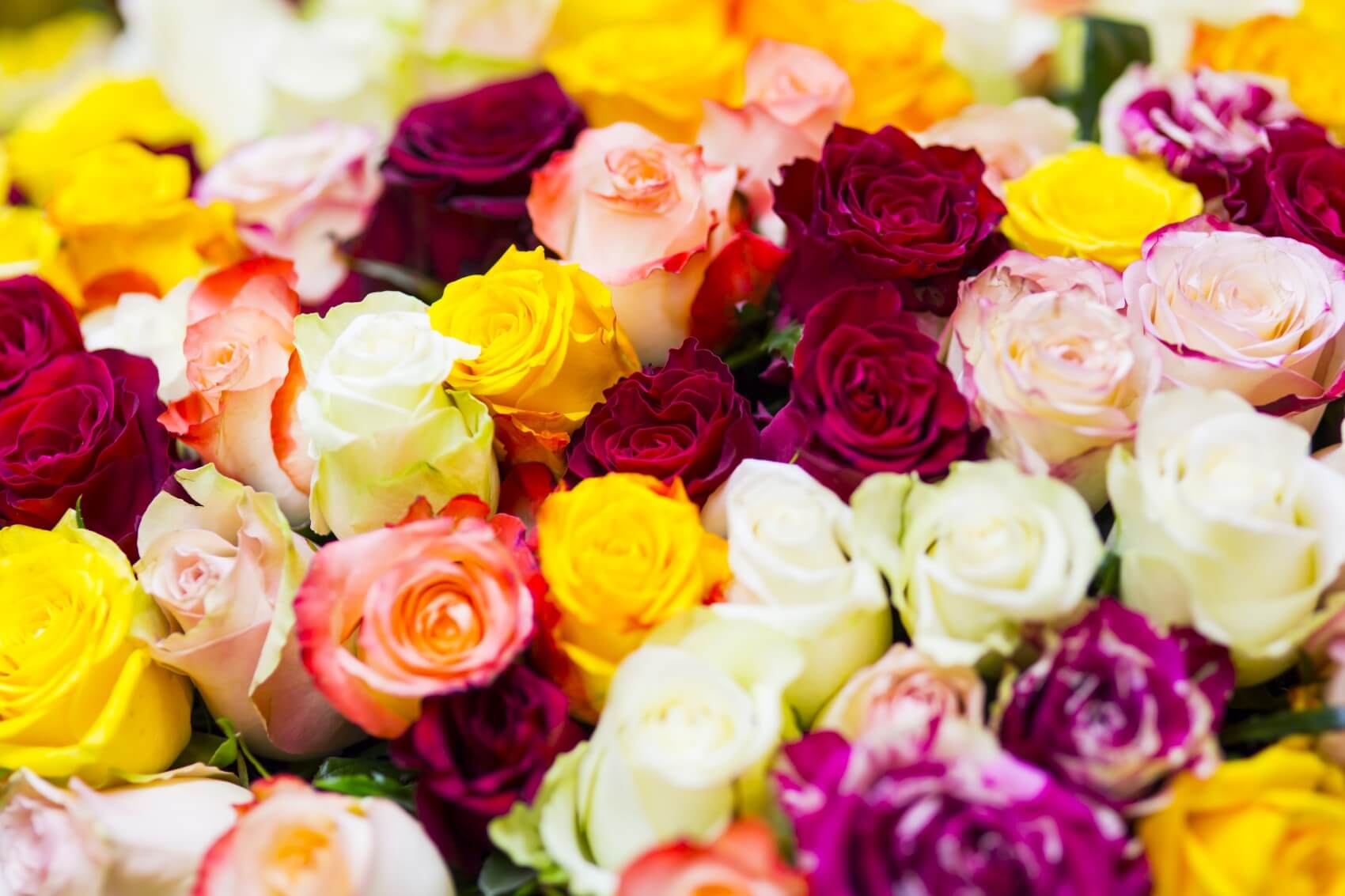 Best Florists for Flower Delivery in Gardena, CA Petal Republic