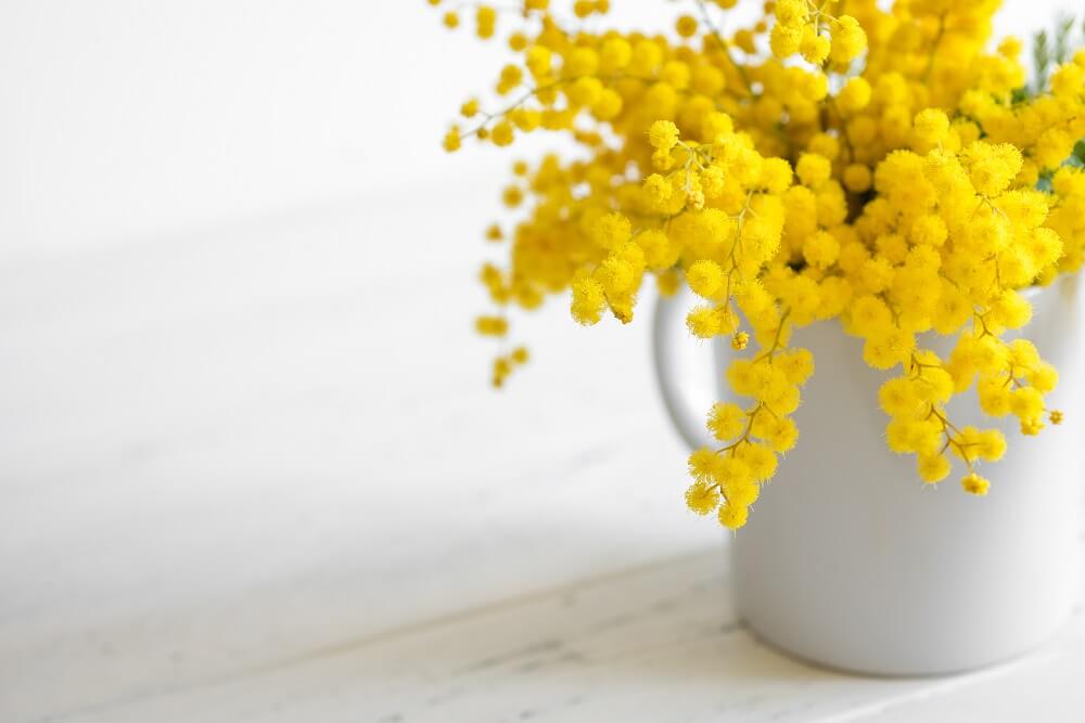Flowers Associated with International Women’s Day