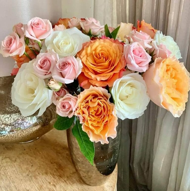 12 Best Florists for Flower Delivery in Miami Petal Republic