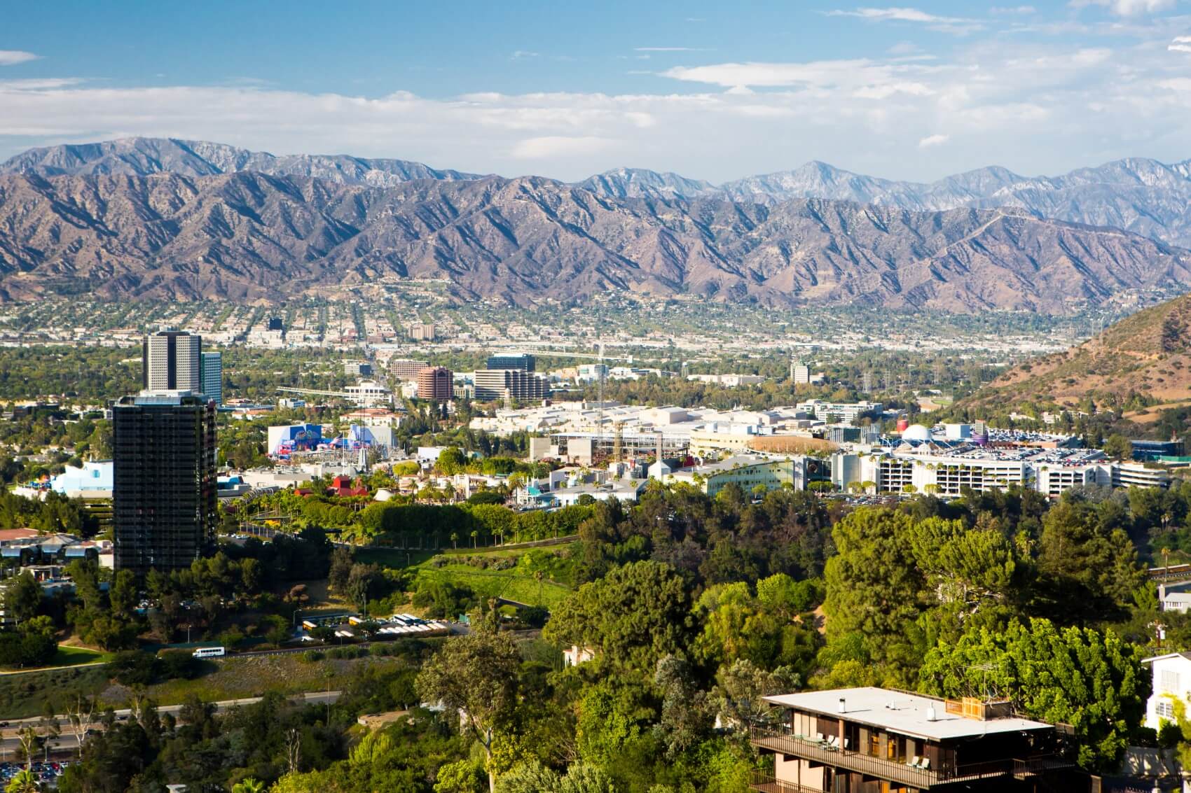 The Best Florists for Flower Delivery in Burbank, CA Petal Republic