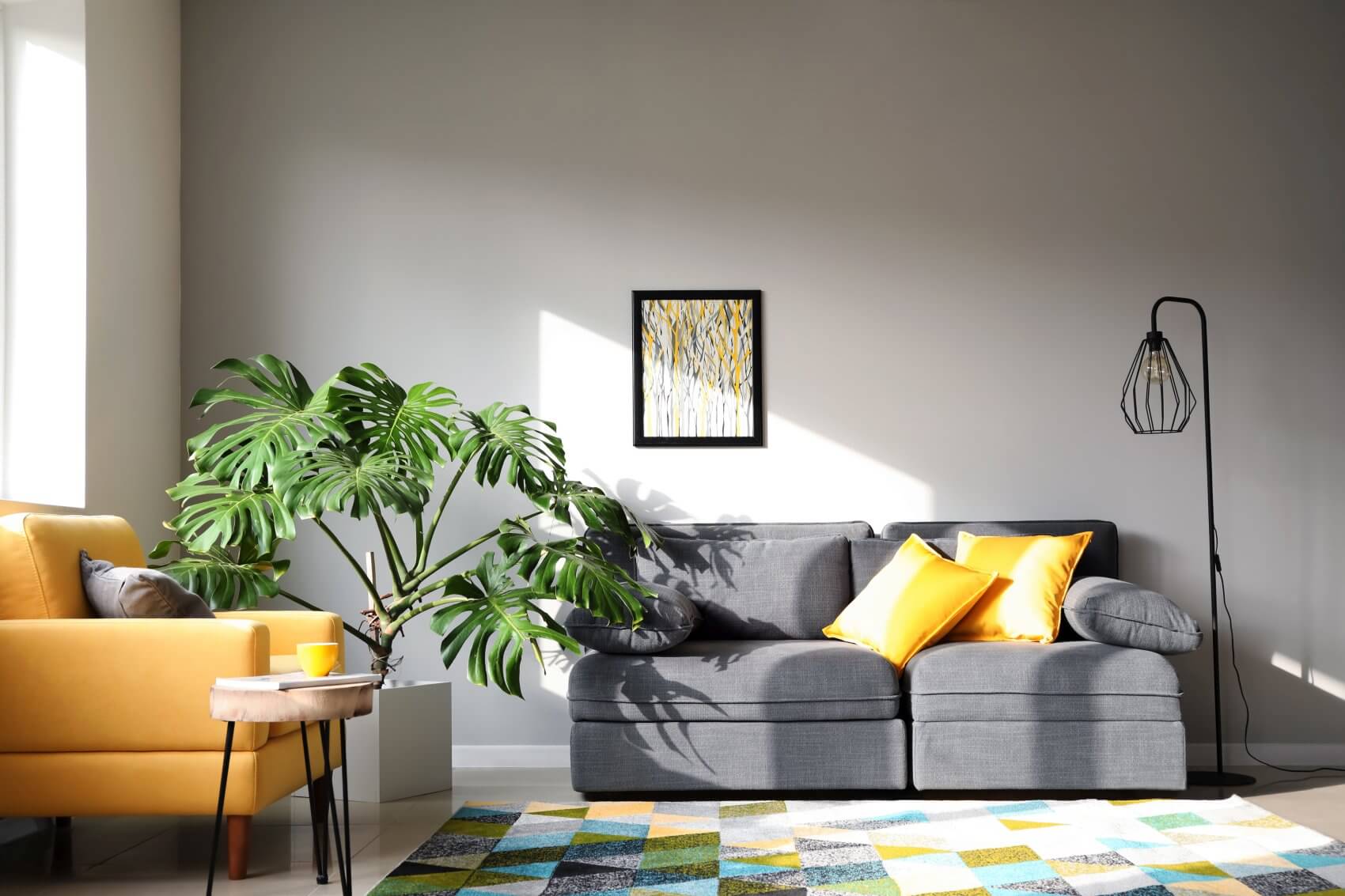 Monstera Plant Light Preferences (Essential Tips at Home)