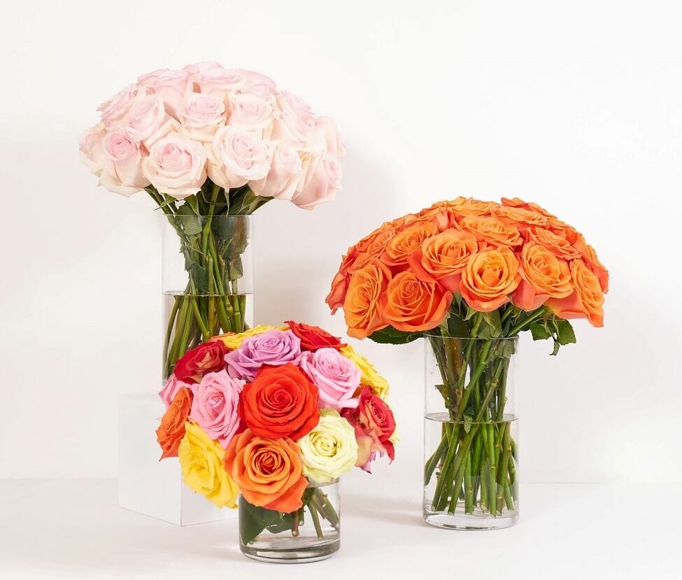 The Bouqs Flower Delivery in South Gate, CA