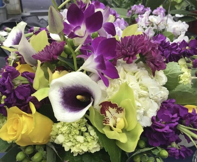 12 Best Flower Delivery Services in The Bronx Petal Republic