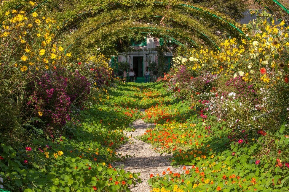 A garden filled with colorfuk Nasturtium Flowers