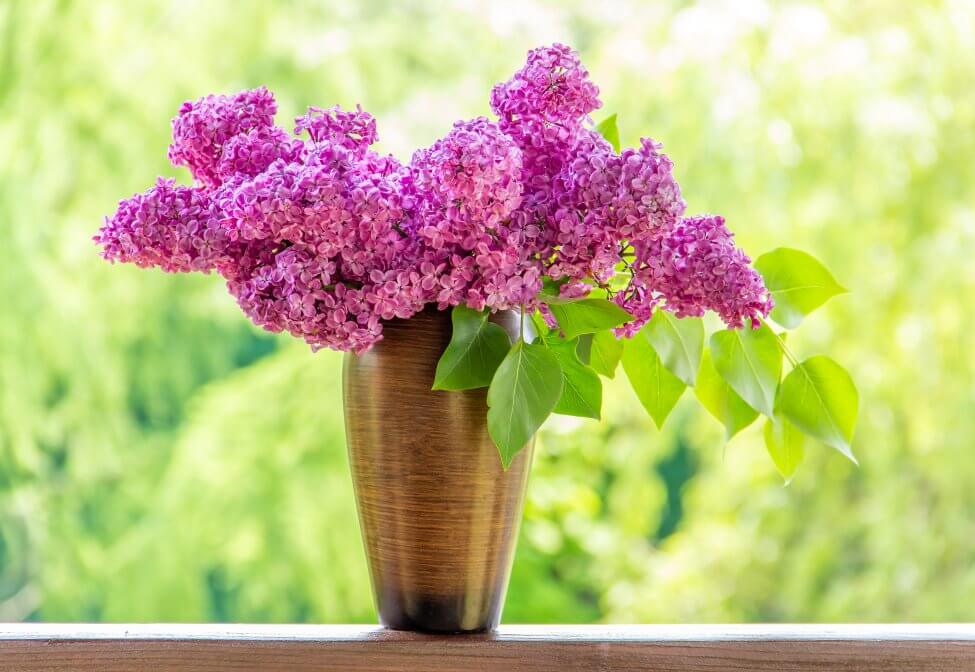 A lilac flower arrangement in a wooden vase