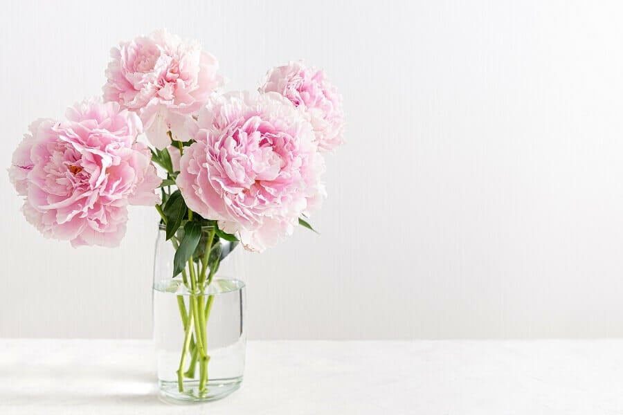 How to Care for Fresh Cut Flower Arrangements