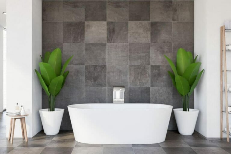 8 Best Feng Shui Plants for the Bathroom Petal Republic