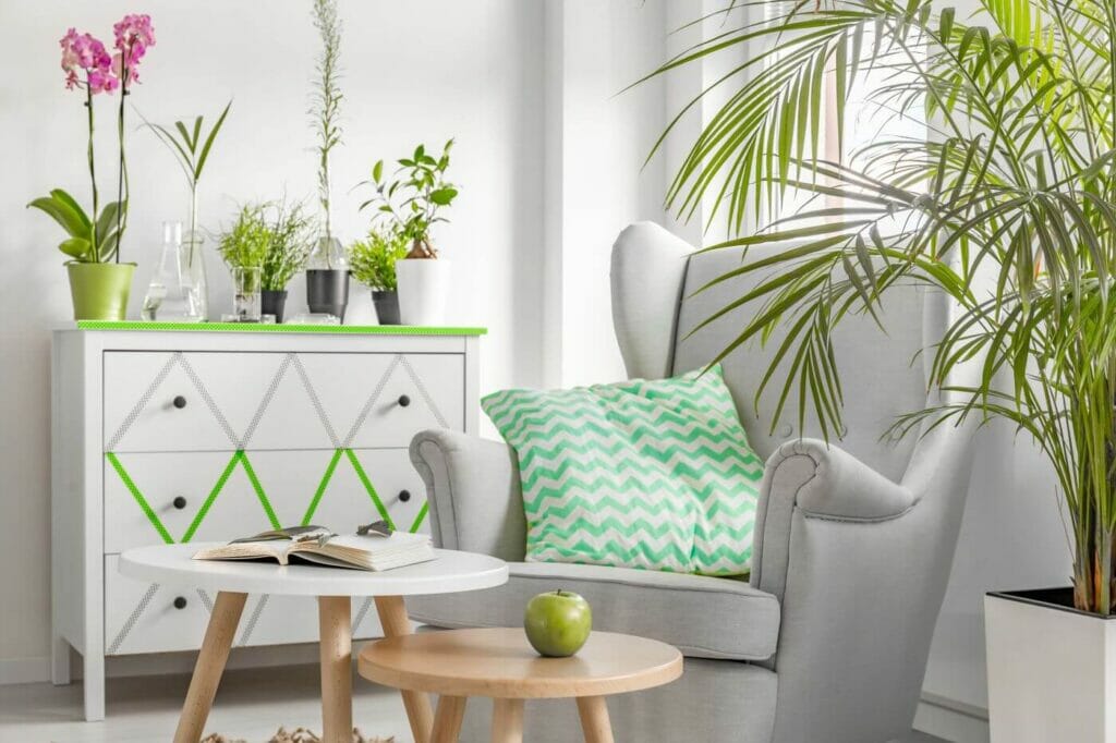 30 Best Houseplants for Small Apartments Petal Republic