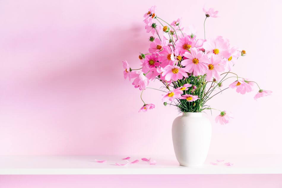 The Most Suitable Gifting Occasions & Uses of Pink Flowers