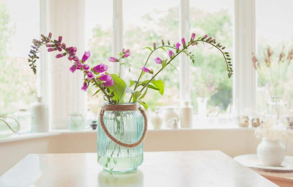 Suitable Gifting Occasions for Foxglove Flowers