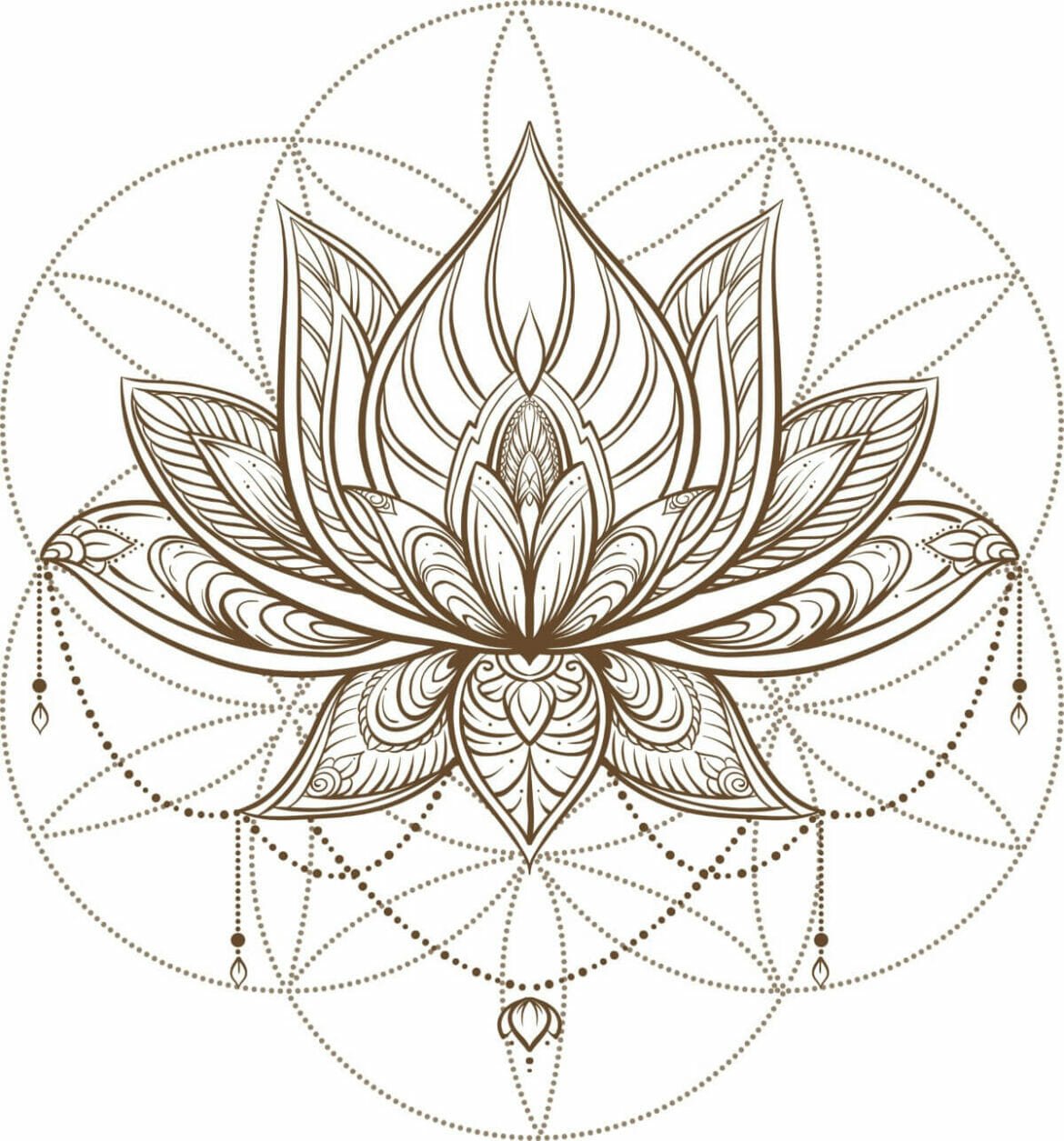 Mandala Flower Meanings, Myths, and Cultural Significance Petal Republic