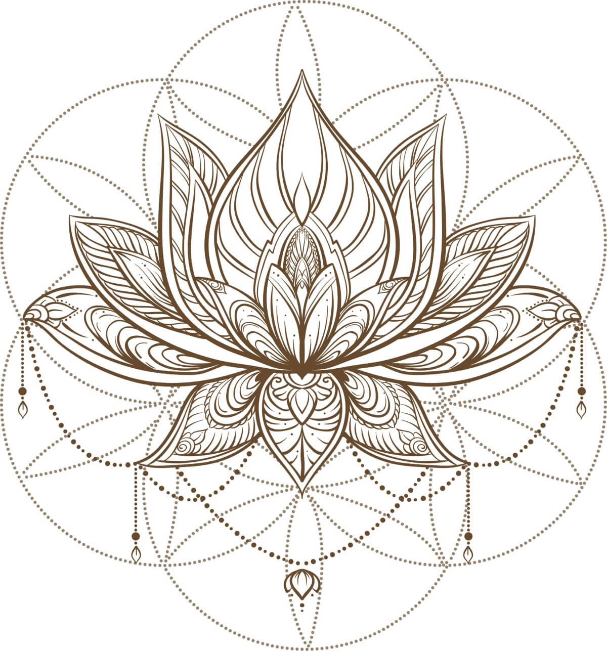 Mandala Flower Meanings, Myths, and Cultural Significance Petal Republic