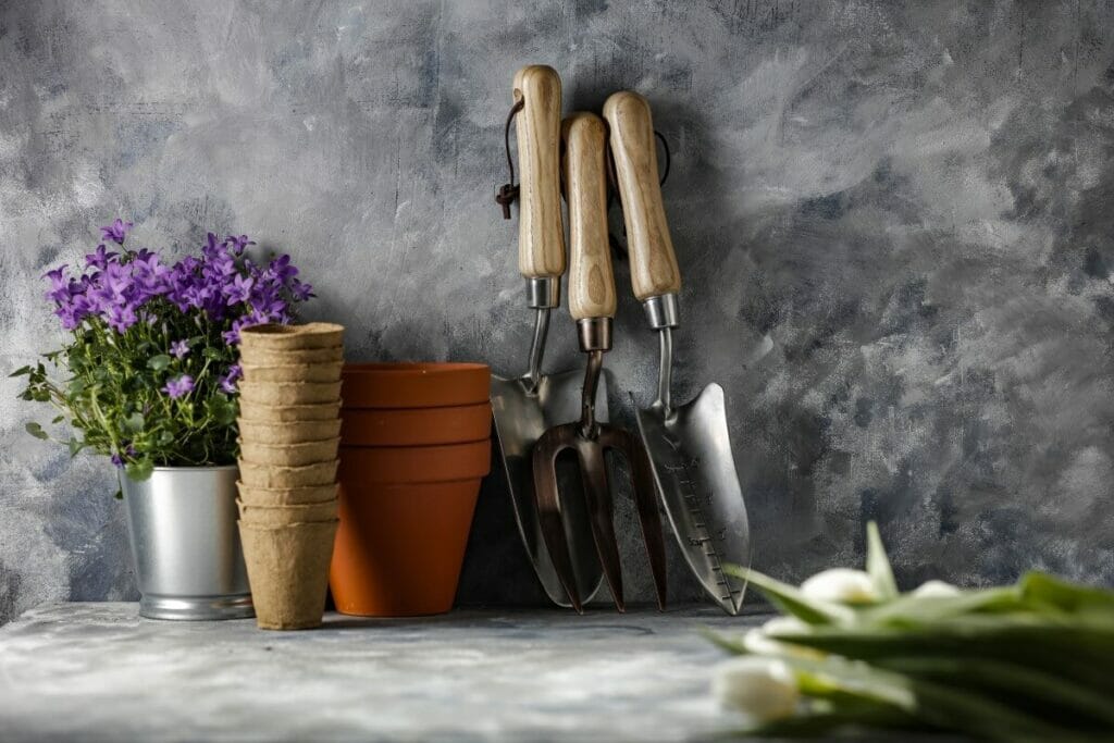 Essential Tools for Plumeria Care