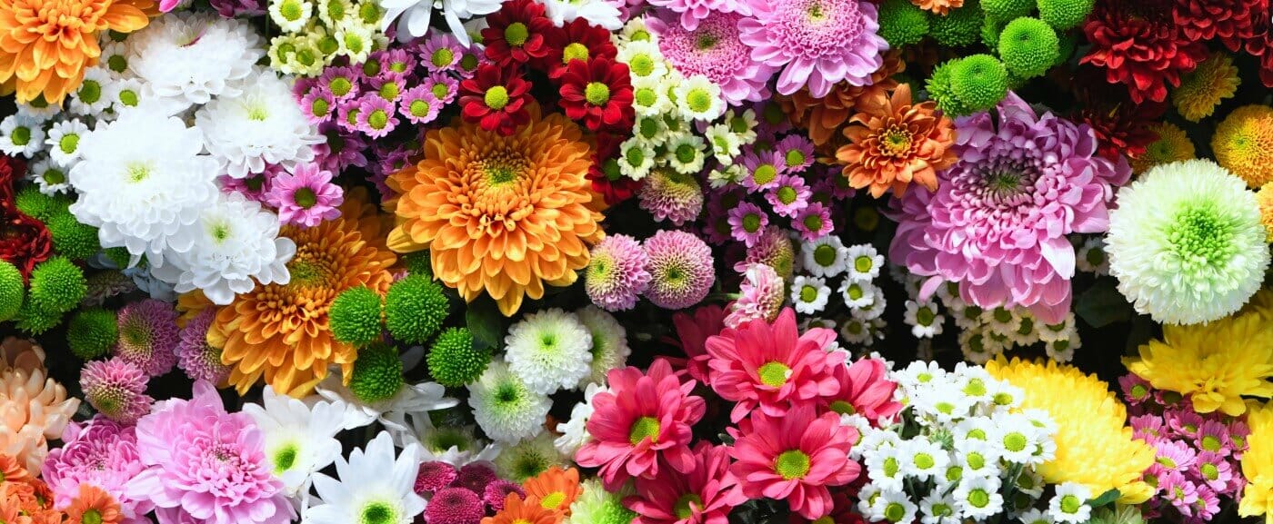 Flower Shop Dubai