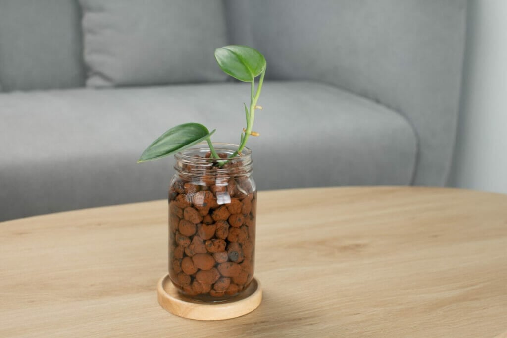 Propagation