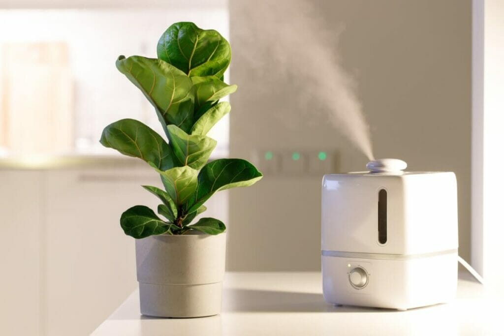 How to Boost Humidity in Your Home