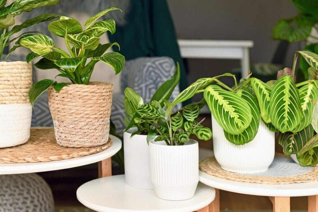 Size & Types of Potting Vessel Considerations