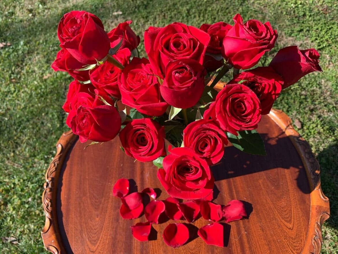 14 Best Miami Flower Delivery Services (Tested & Reviewed)