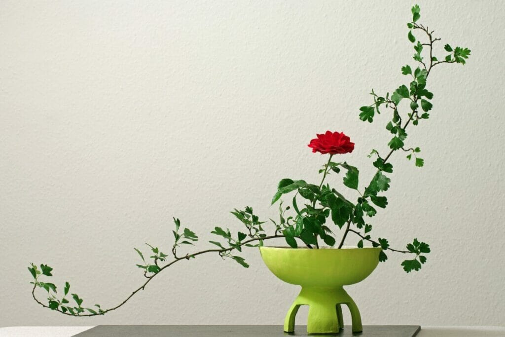 Traditional Schools of Ikebana