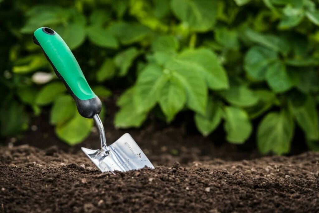 Acidic soil