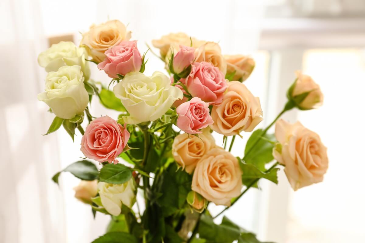 15 Best Types of Flowers for Birthday Gifts Petal Republic