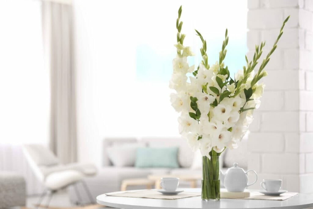 A glass vase on a circular white dining table filled with tall white flowering Gladiolus