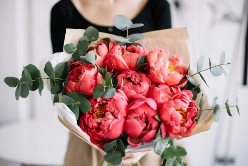 Peonies