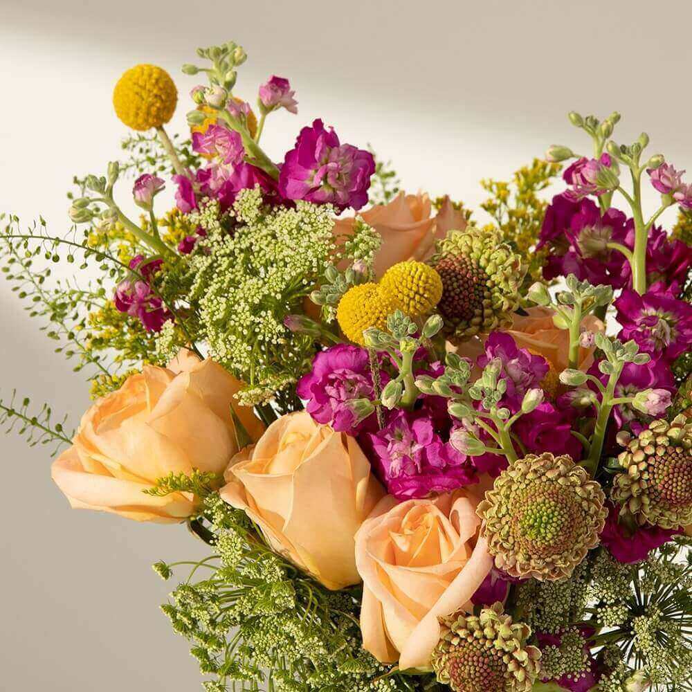 The Bouqs Flower Delivery