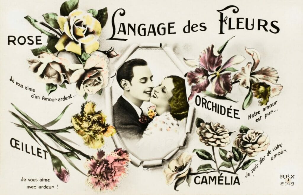 The History and Origins of Floriography