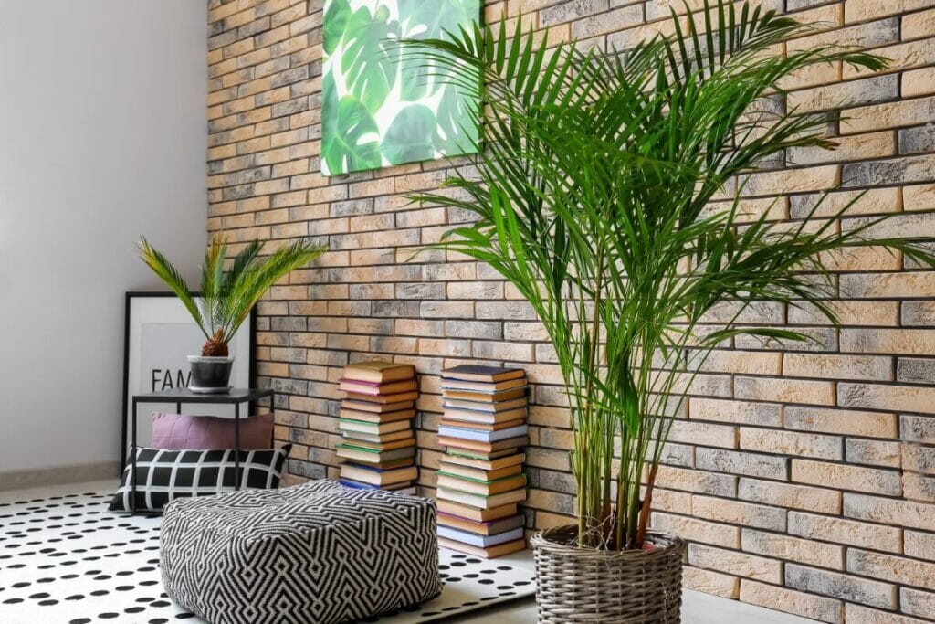 Areca Palms May Boost Your Productivity