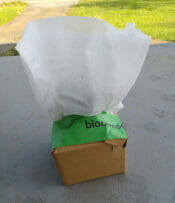Bloomscape: My Hands-On Plant Delivery Review - Petal Republic