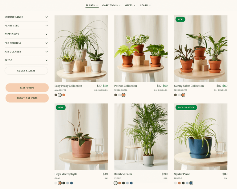 Bloomscape: My Hands-On Plant Delivery Review - Petal Republic